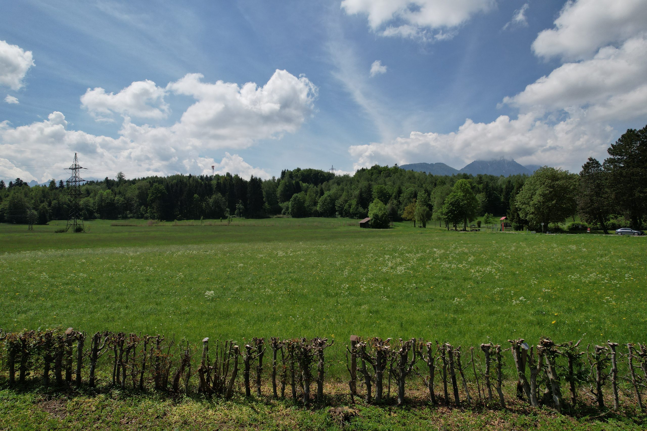 Walserfeld